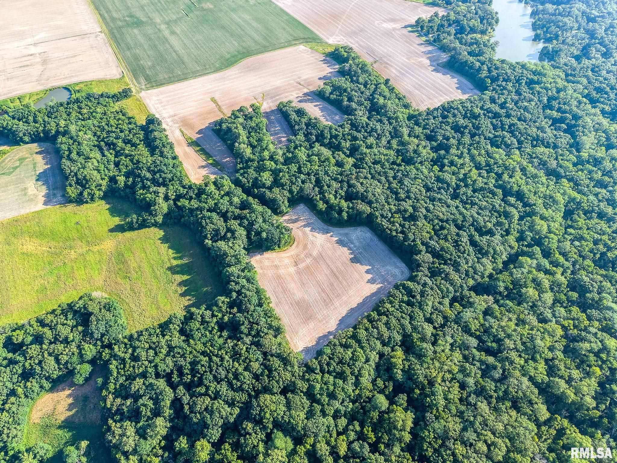 0 Jones Ridge Road Alma, IL 62807 - Photo 5 of 19