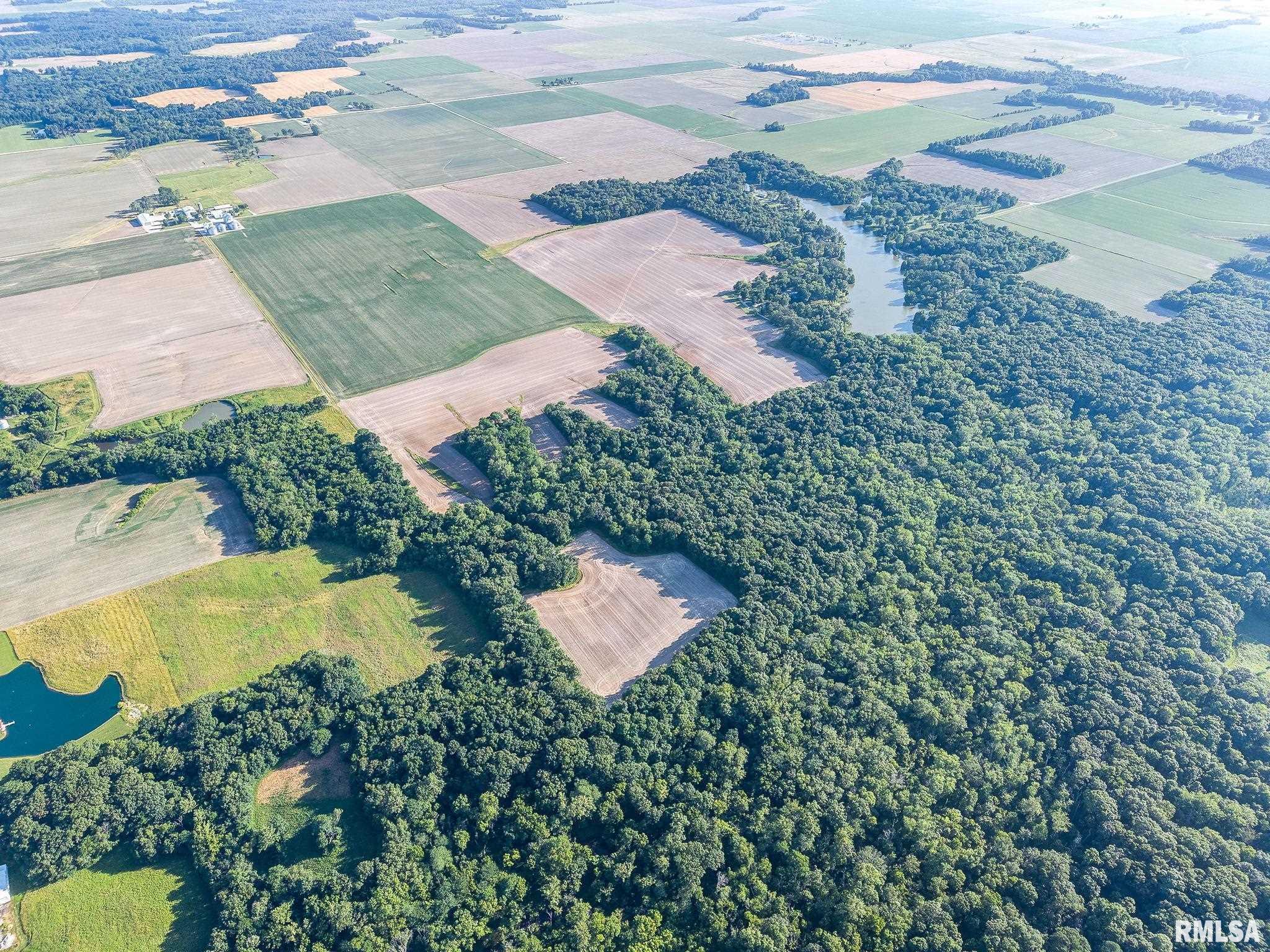 0 Jones Ridge Road Alma, IL 62807 - Photo 6 of 19