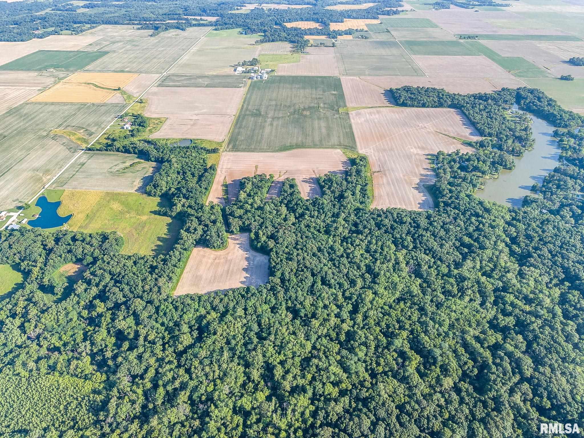 0 Jones Ridge Road Alma, IL 62807 - Photo 8 of 19