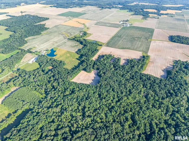 $470,000 | 0 Jones Ridge Road, Alma, IL 62807