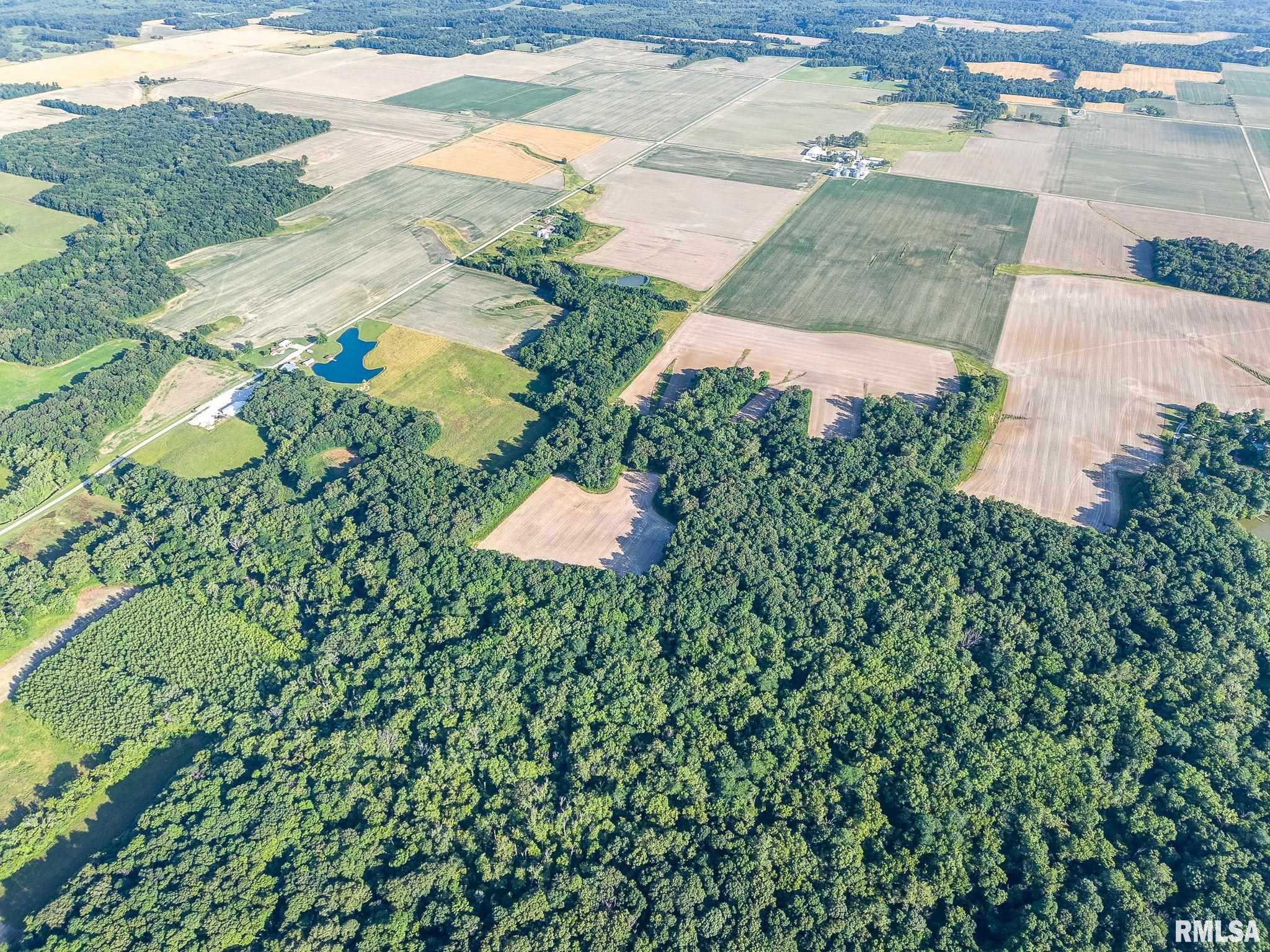 0 Jones Ridge Road Alma, IL 62807 - Photo 9 of 19