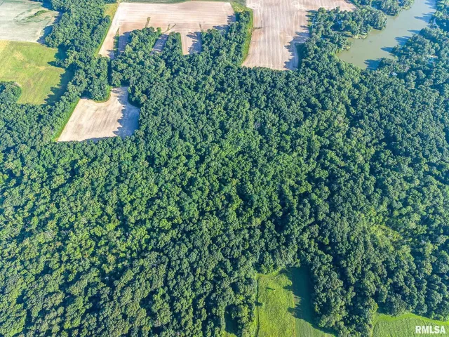 $470,000 | 0 Jones Ridge Road, Alma, IL 62807