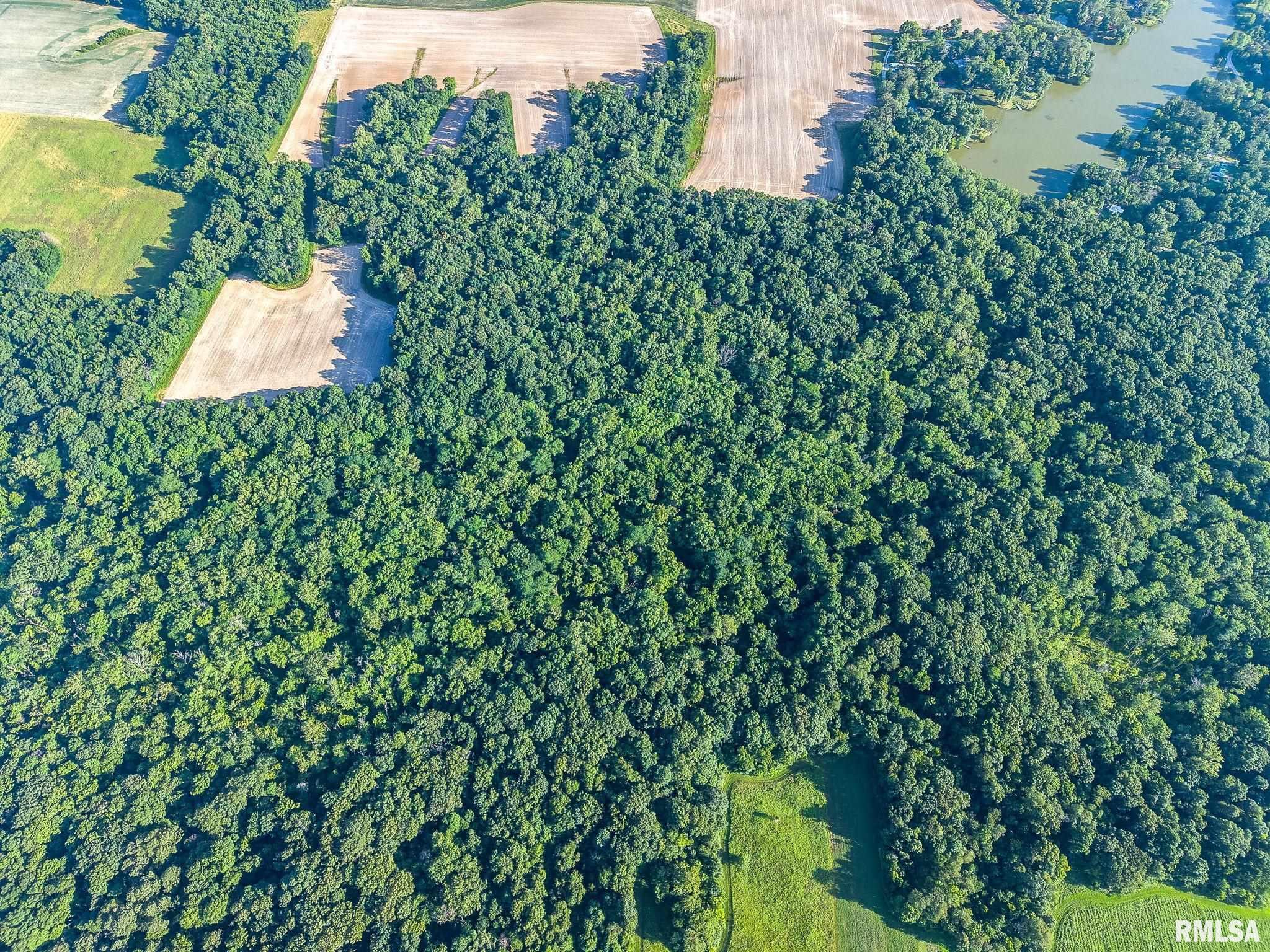 0 Jones Ridge Road Alma, IL 62807 - Photo 10 of 19