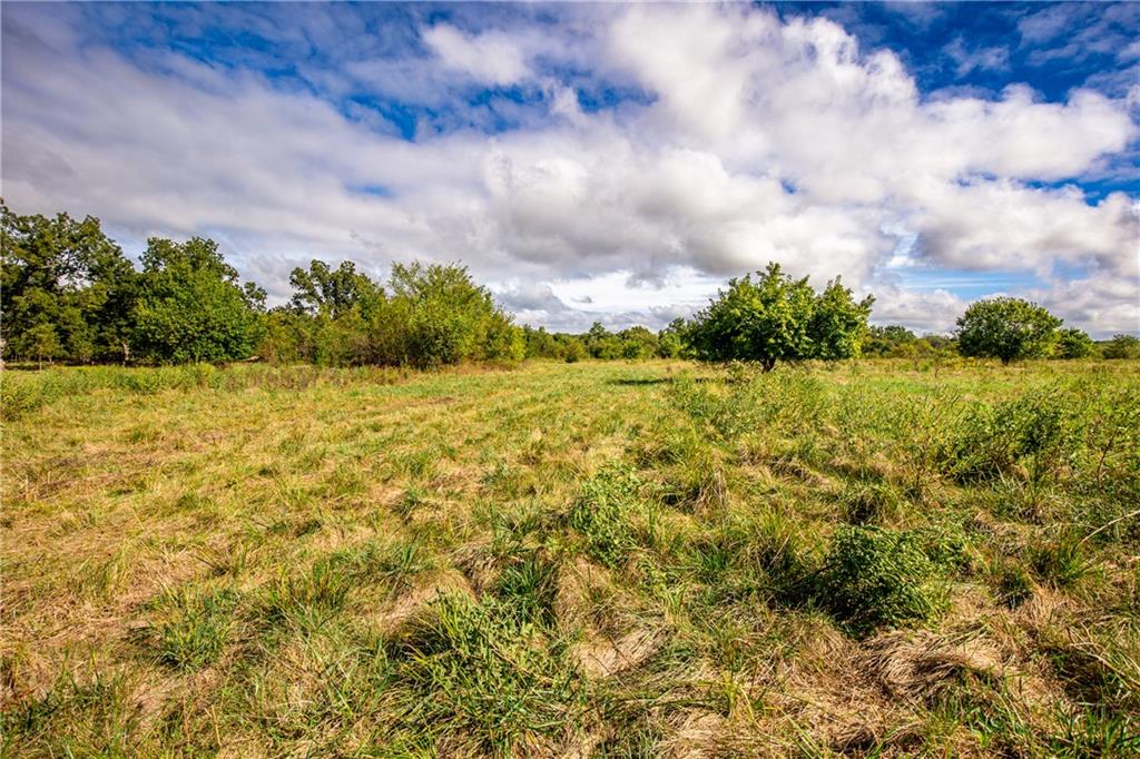 22829 Showalter Road Lacygne, KS 66040 - Photo 68 of 97 Gallery Image 68