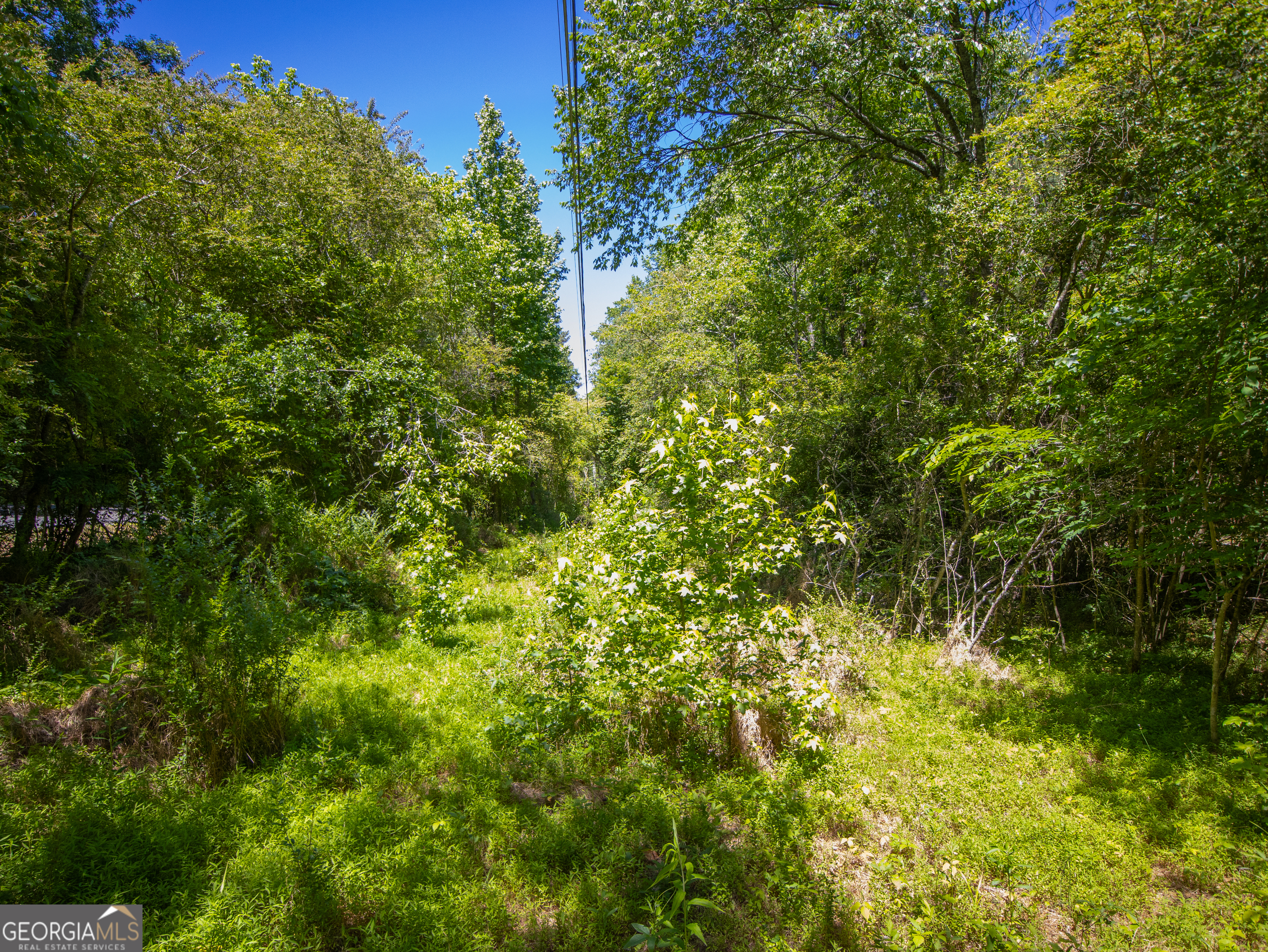 5.5-acres Bronco Road LaFayette, GA 30728 - Photo 13 of 17 a view of a lush green forest