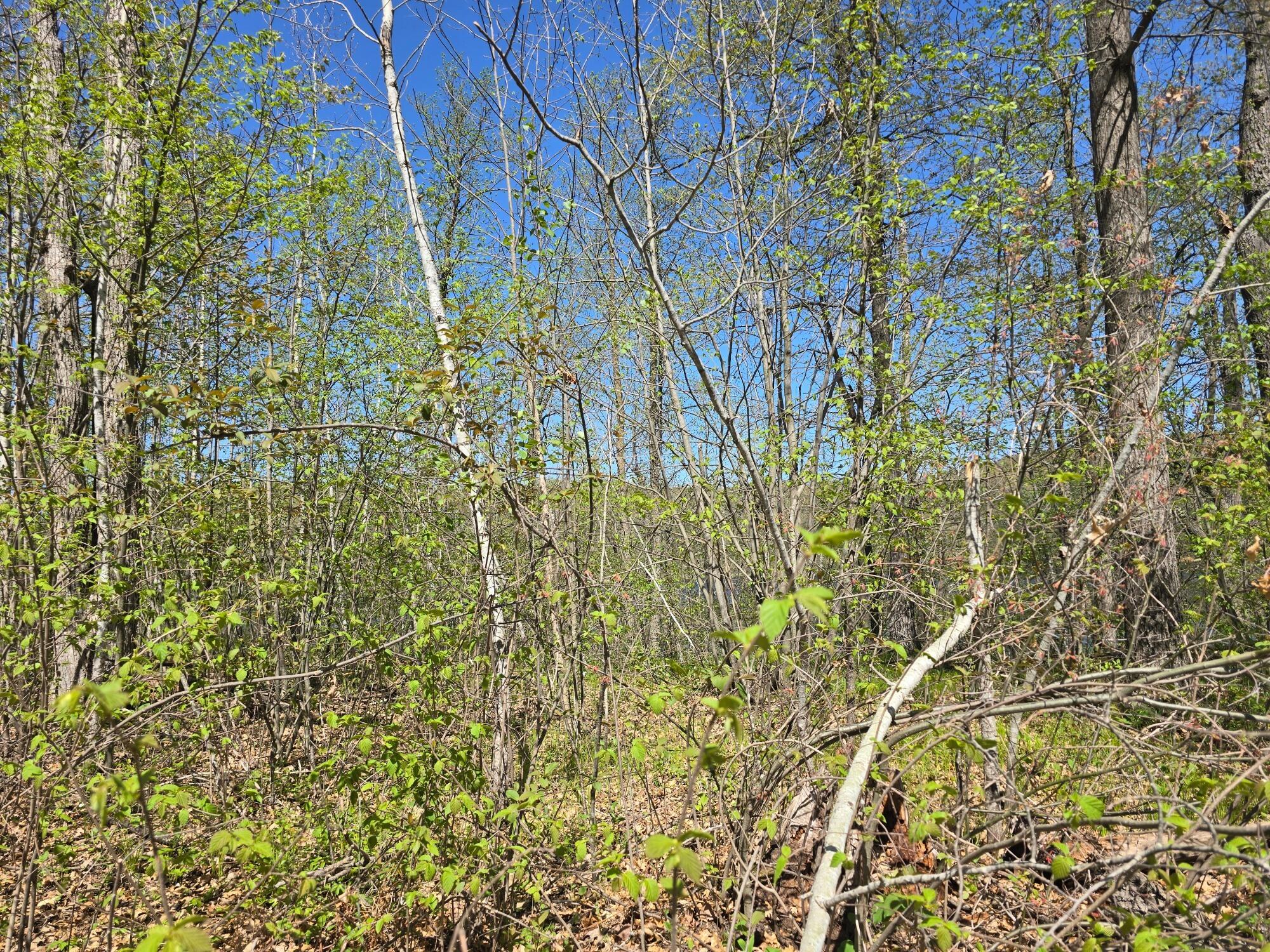 0 Dilly Lake Road Spooner, WI 54801 - Photo 6 of 9 20260516_150353