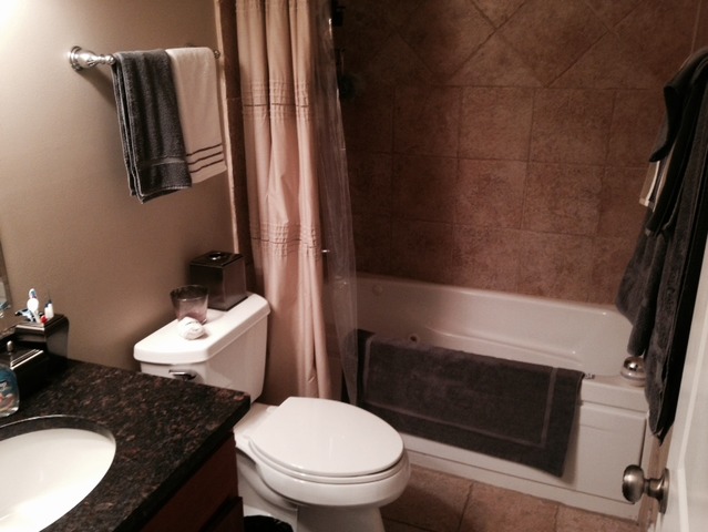 4418 South Indiana Avenue, Unit GS Chicago, IL 60653 - Photo 7 of 12