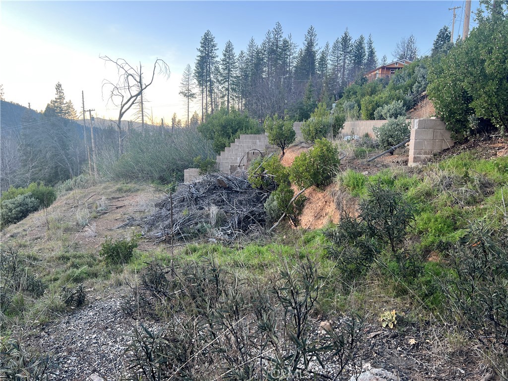 16789 Starview Loop Cobb, CA 95426 - Photo 2 of 7