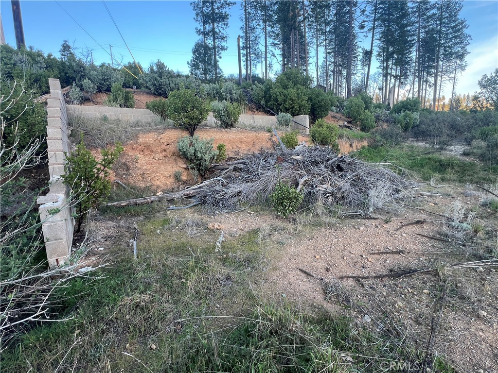 16789 Starview Loop Cobb, CA 95426 - Photo 3 of 7