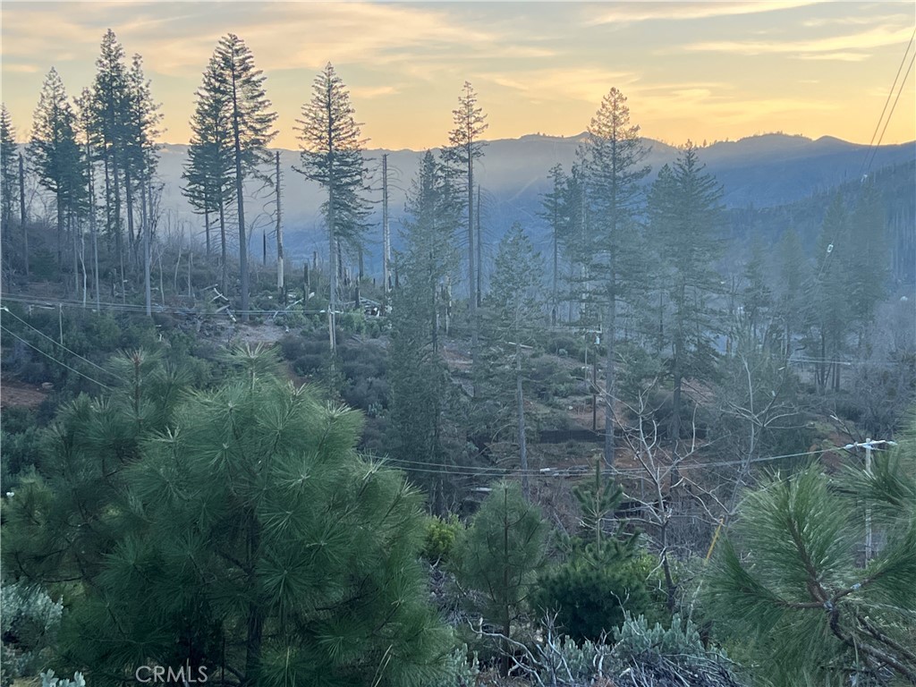 16789 Starview Loop Cobb, CA 95426 - Photo 7 of 7