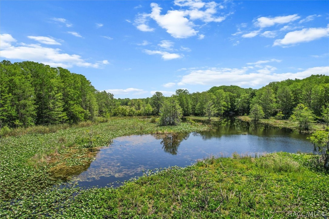 1255 South Estate Point Inverness, FL 34450 - Photo 69 of 84