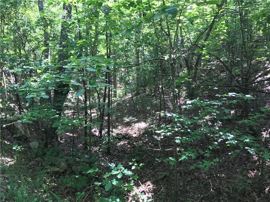 587 East Valley Road Northeast Rydal, GA 30171 - Photo 13 of 18