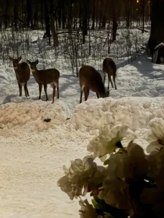 $139,000 | 22 Lyons Lane, Dixfield, ME 04224