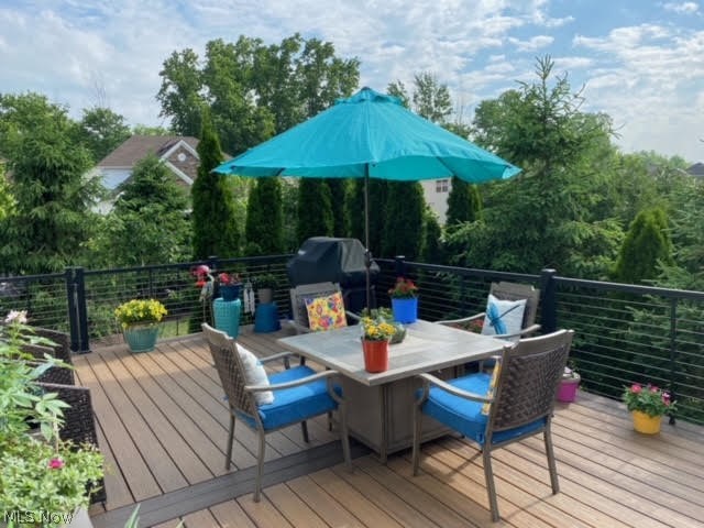 163 Burwick Road Cleveland, OH 44143 - Photo 32 of 35 Enjoy your outdoor oasis with White Pines and Arborvitaes surrounding for enhanced privacy.