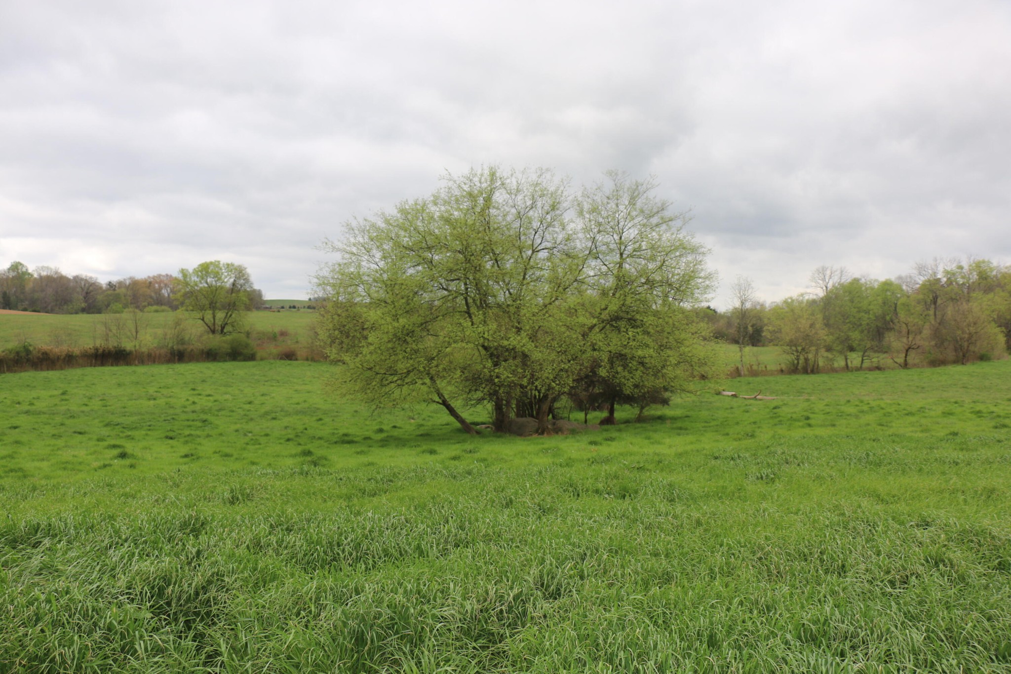 551 Campground Road Madisonville, TN 37354 - Photo 6 of 12 Gallery Image 6