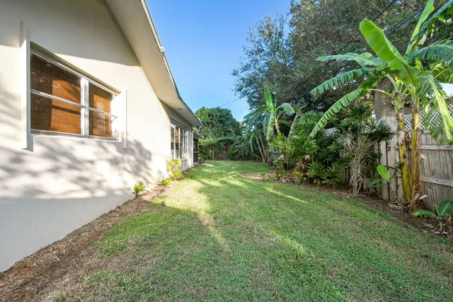 a view of a yard in front of a house with a large tree