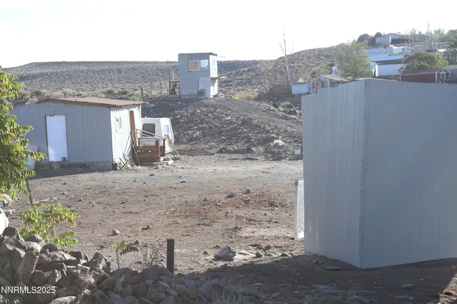 a view of a dry yard with large tree