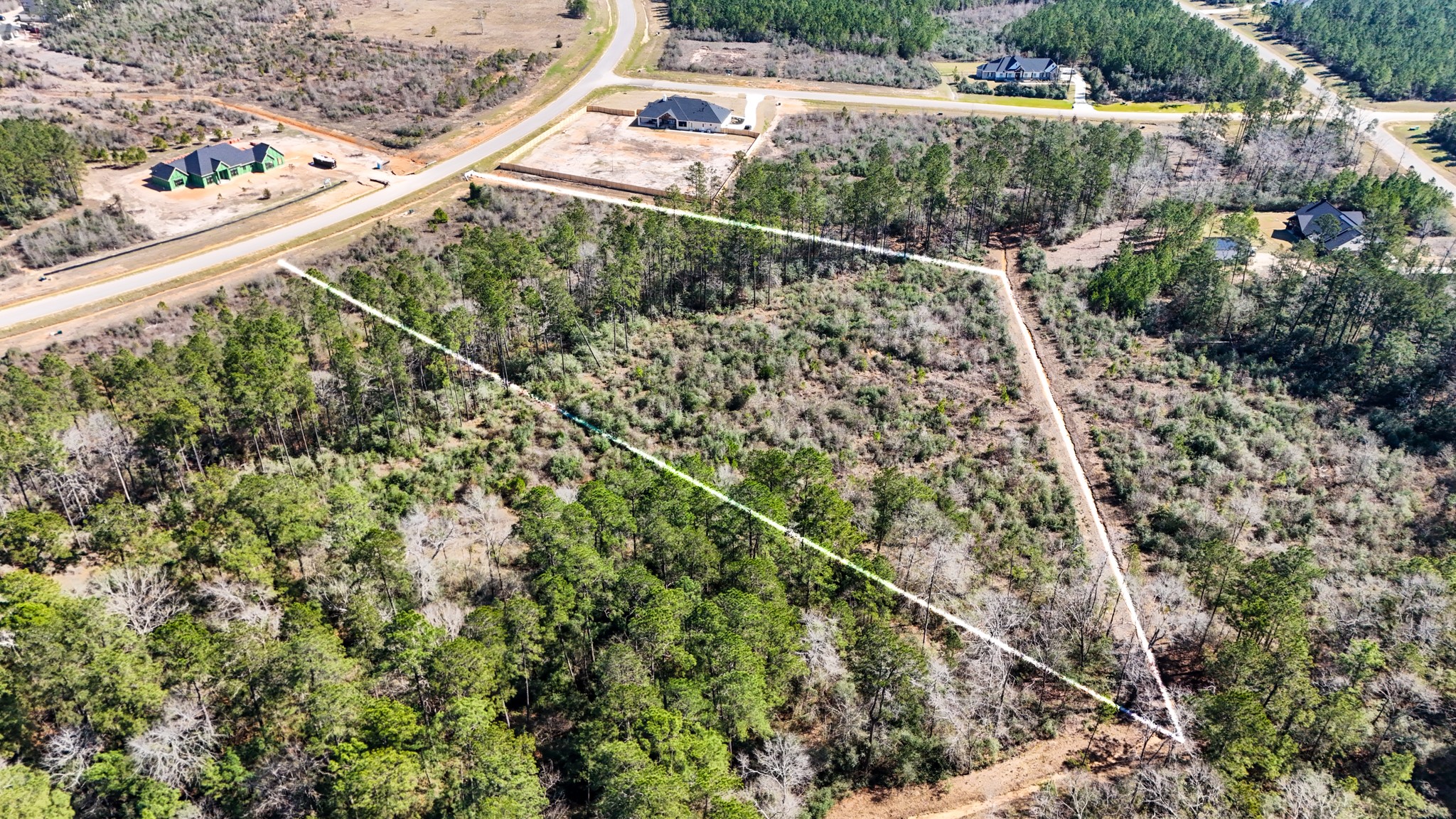 15973 Ridge Oak Road Willis, TX 77378 - Photo 12 of 23
