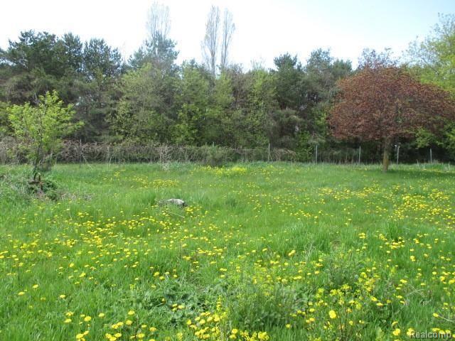 7265 Kilmanagh Road Pigeon, MI 48755 - Photo 10 of 25 10.jpg