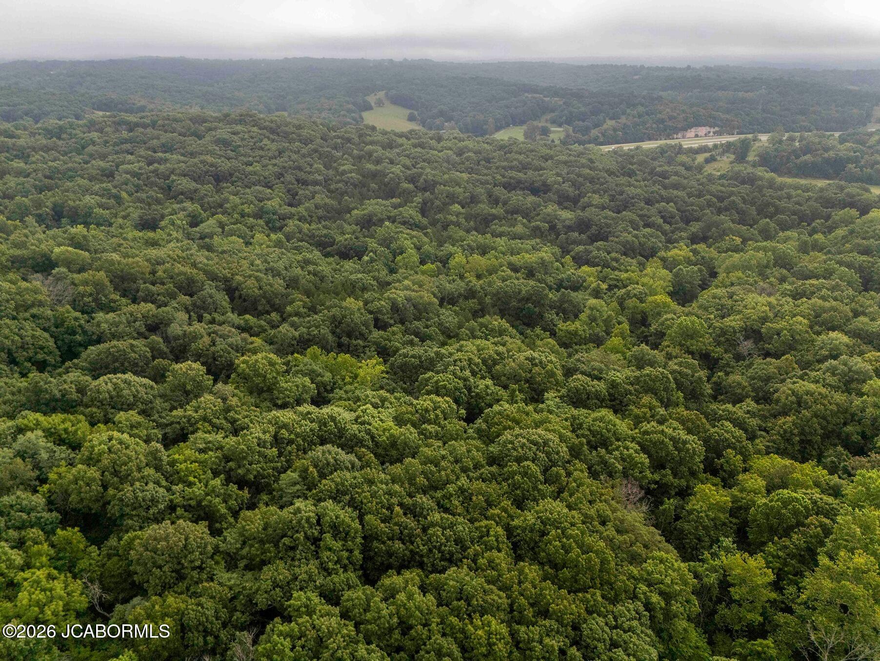 Tbd Talley Road Hartsburg, MO 65039 - Photo 83 of 106