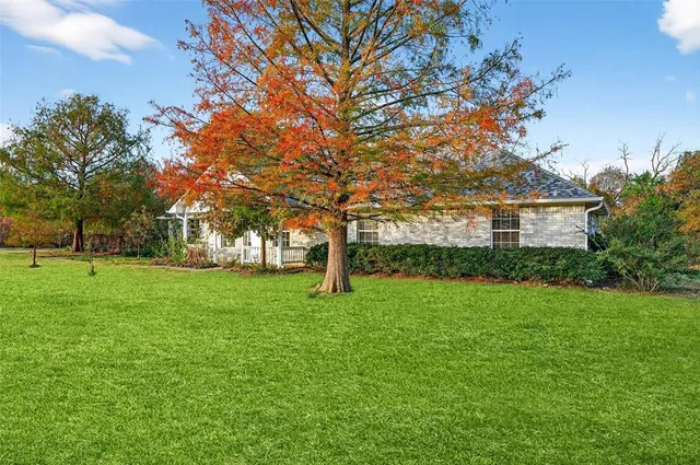 a garden with trees in front of it