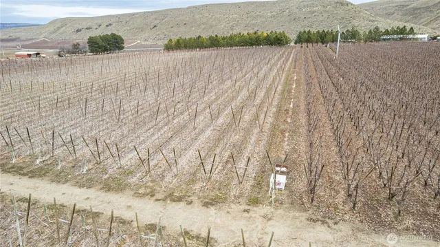 a view of wooden floor and a road