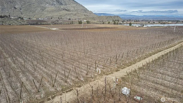 a view of beach and ocean