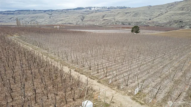 a view of terrace with water view
