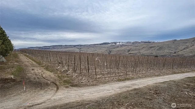 a view of a yard with an ocean view