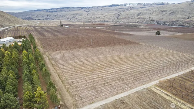 a view of beach and ocean