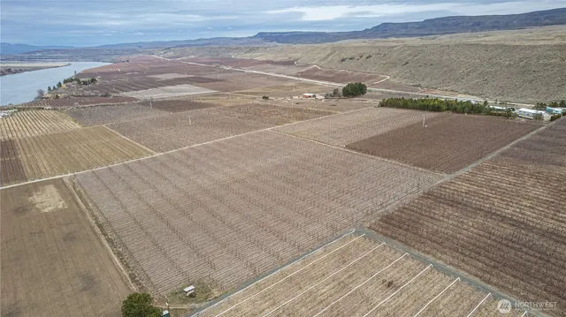 a view of an ocean and beach