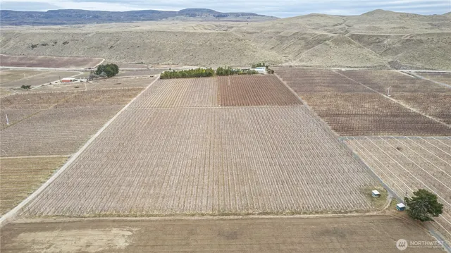 a view of a swimming pool and an ocean view