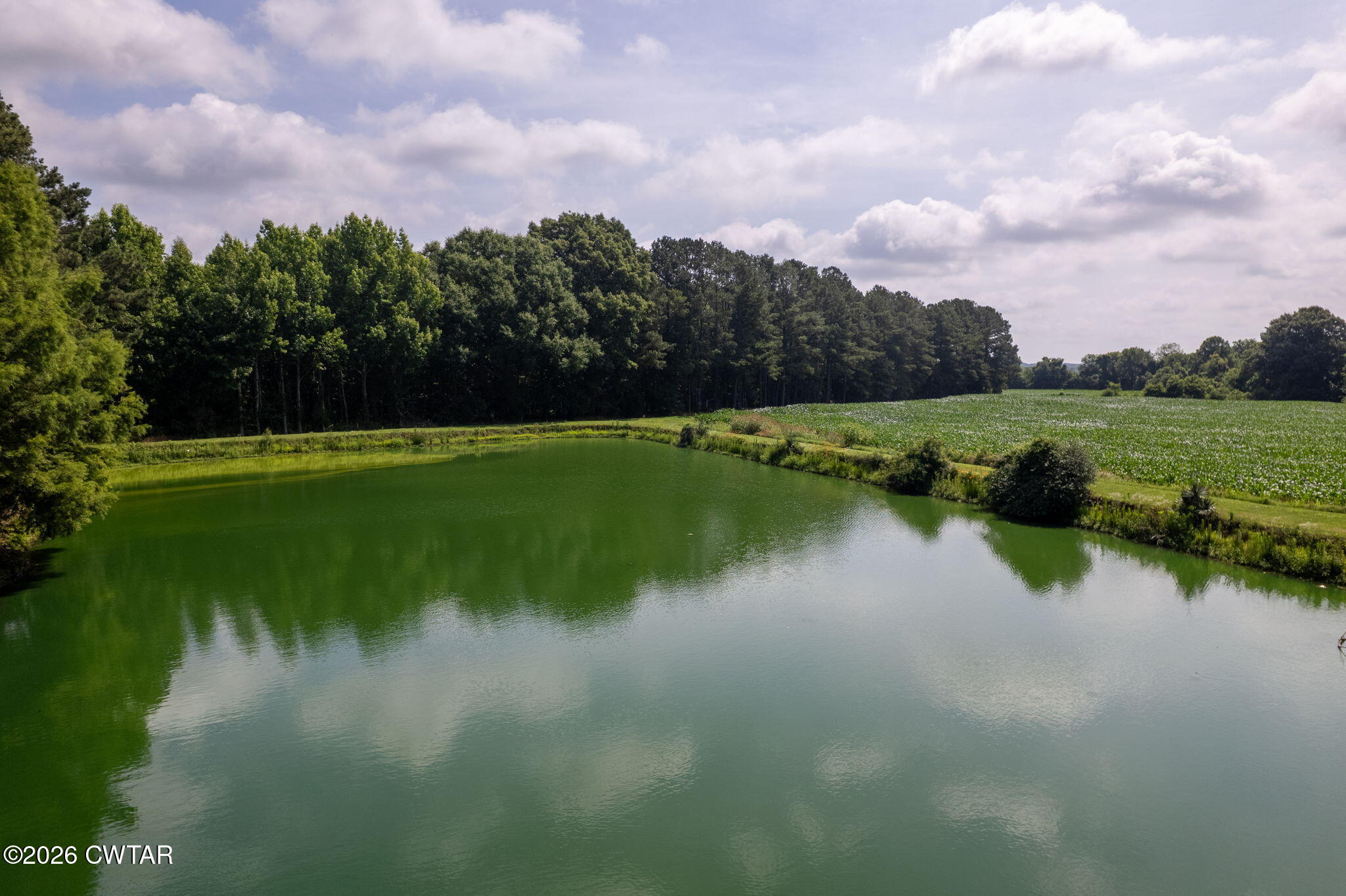 32 Herman Cavitt Road Dyer, TN 38330 - Photo 25 of 36 DJI_0043-HDR