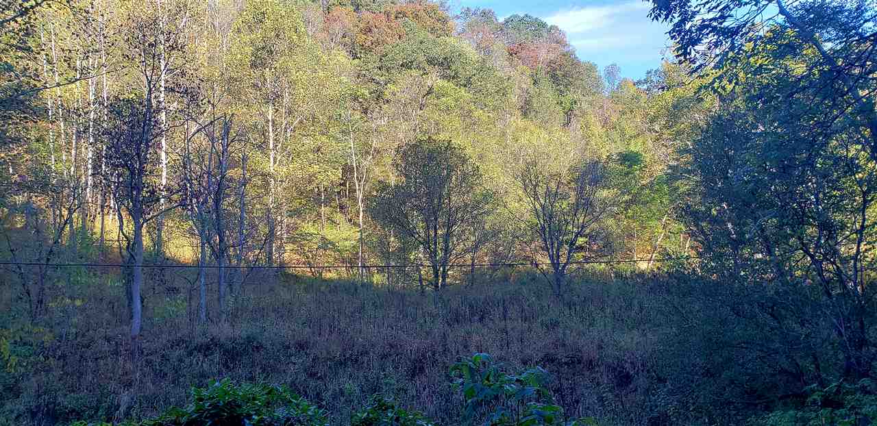 9 Mile Road Branchland, WV 25506 - Photo 2 of 3 Gallery Image 2