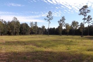 7771 Sowell Road Milton, FL 32570 - Photo 3 of 6 Gallery Image 3