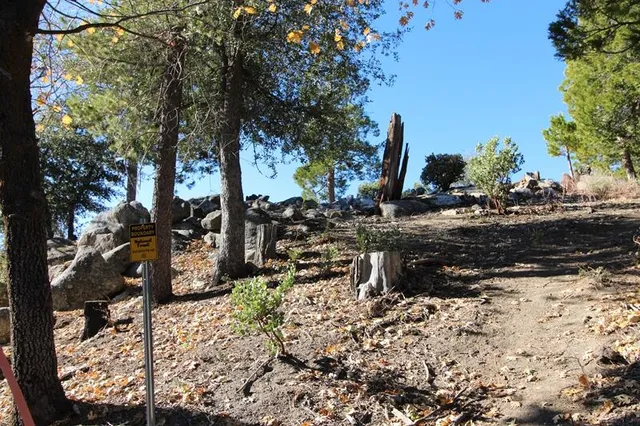a view of a yard covered in snow