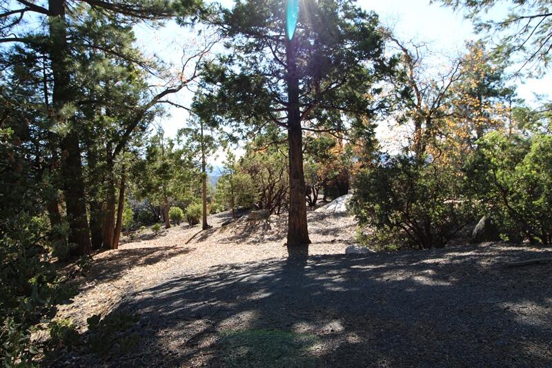 0 Gibbs-Gully Idyllwild, CA 92549 - Photo 17 of 24 18