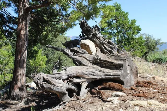 a view of outdoor space with yard and mountain view in back