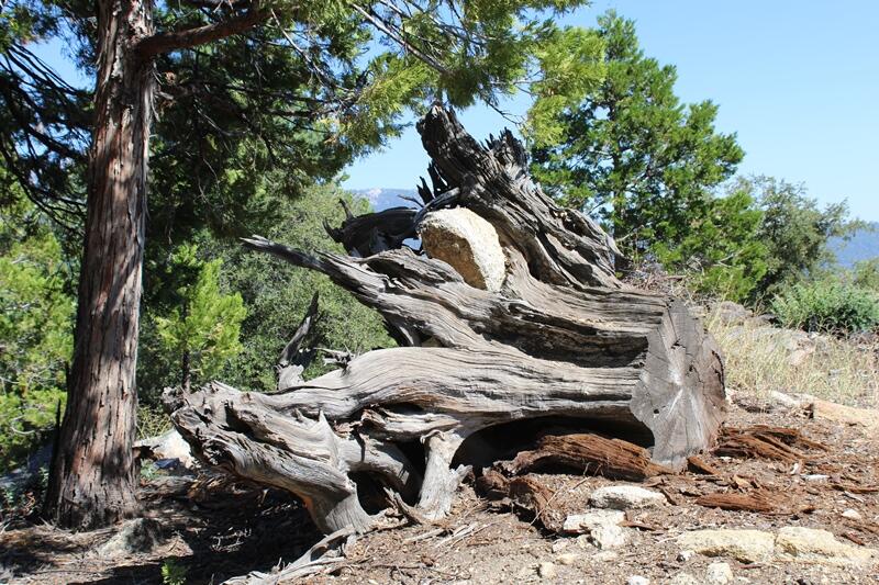 0 Gibbs-Gully Idyllwild, CA 92549 - Photo 18 of 24 19