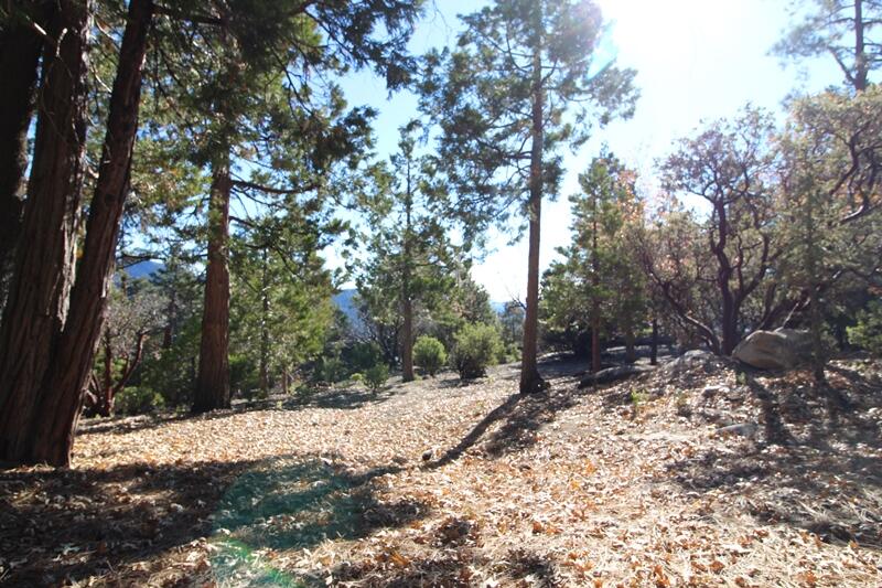 0 Gibbs-Gully Idyllwild, CA 92549 - Photo 21 of 24 22