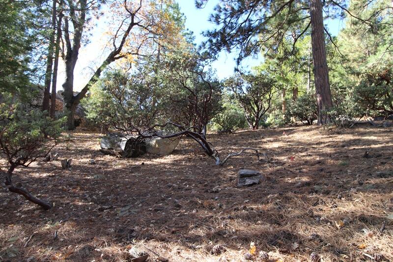 0 Gibbs-Gully Idyllwild, CA 92549 - Photo 4 of 24 04