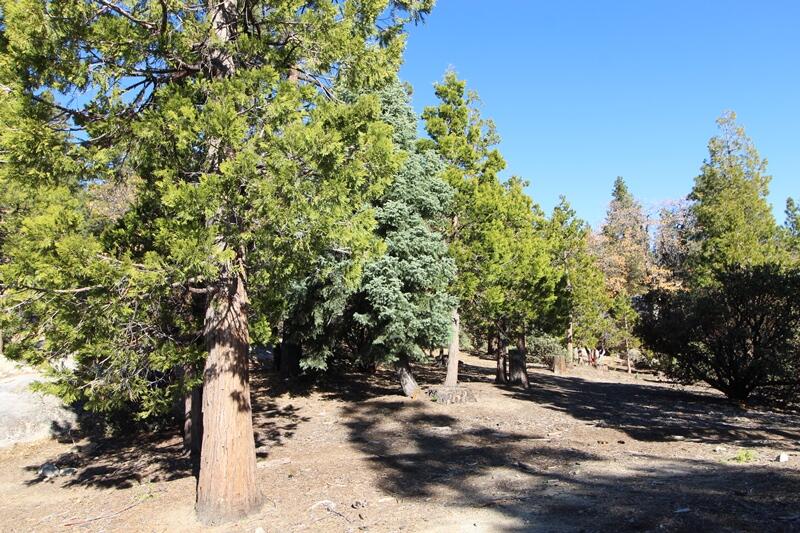 0 Gibbs-Gully Idyllwild, CA 92549 - Photo 7 of 24 07