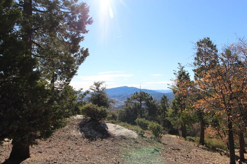 0 Gibbs-Gully Idyllwild, CA 92549 - Photo 10 of 24 11