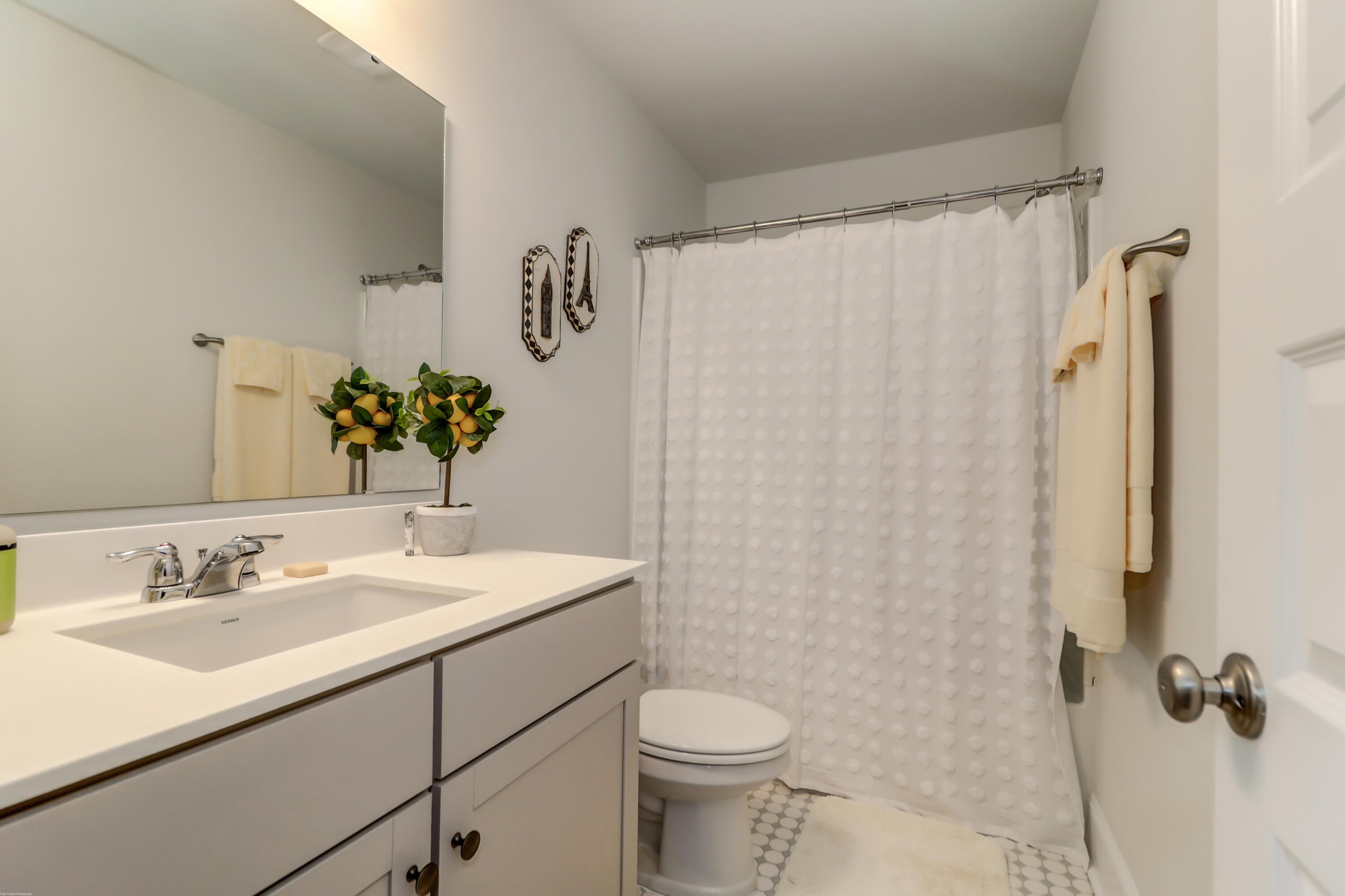 419 Bowstring Drive Huger, SC 29450 - Photo 28 of 47 Guest Bathroom