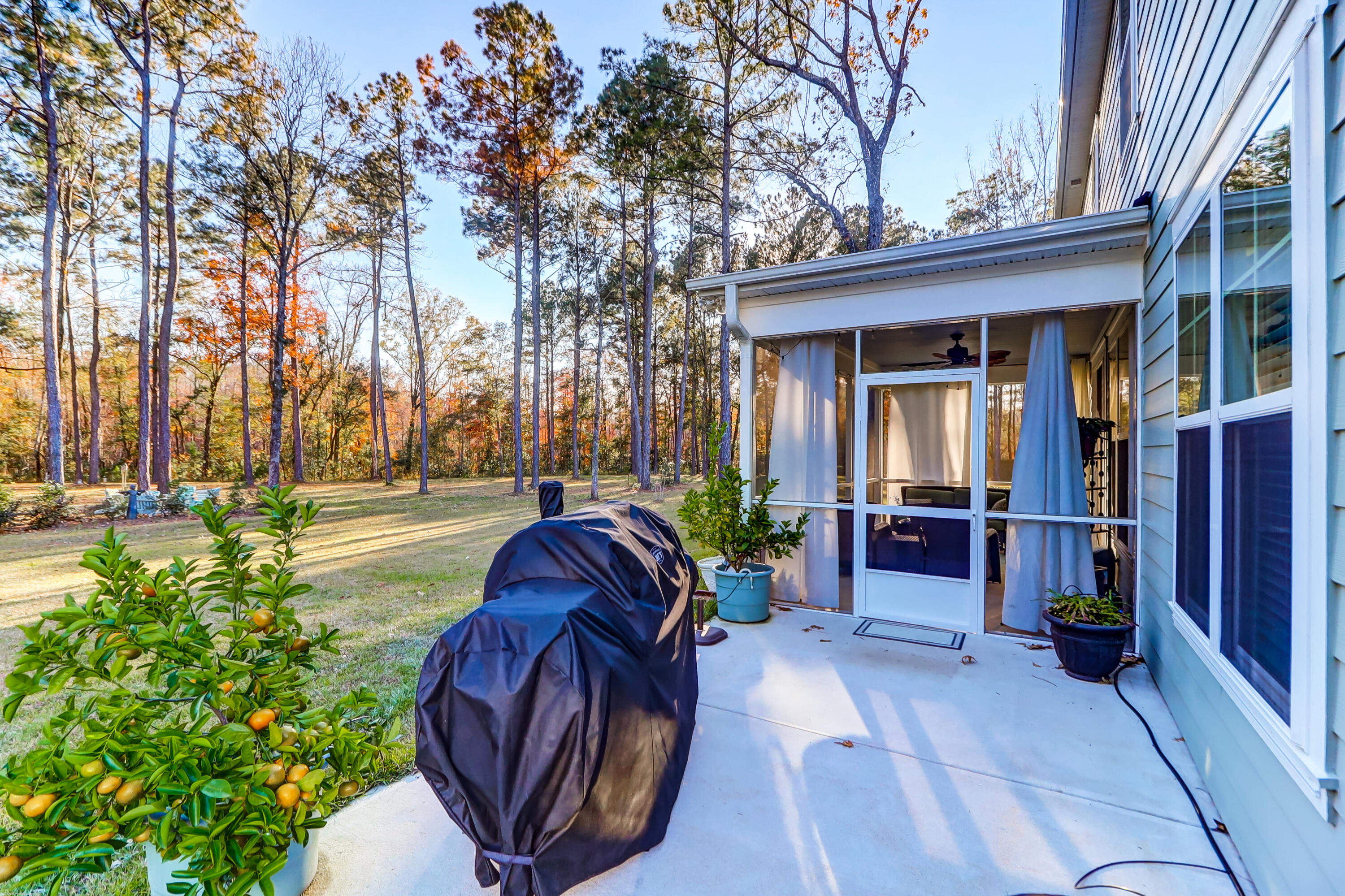 419 Bowstring Drive Huger, SC 29450 - Photo 32 of 47 Patio