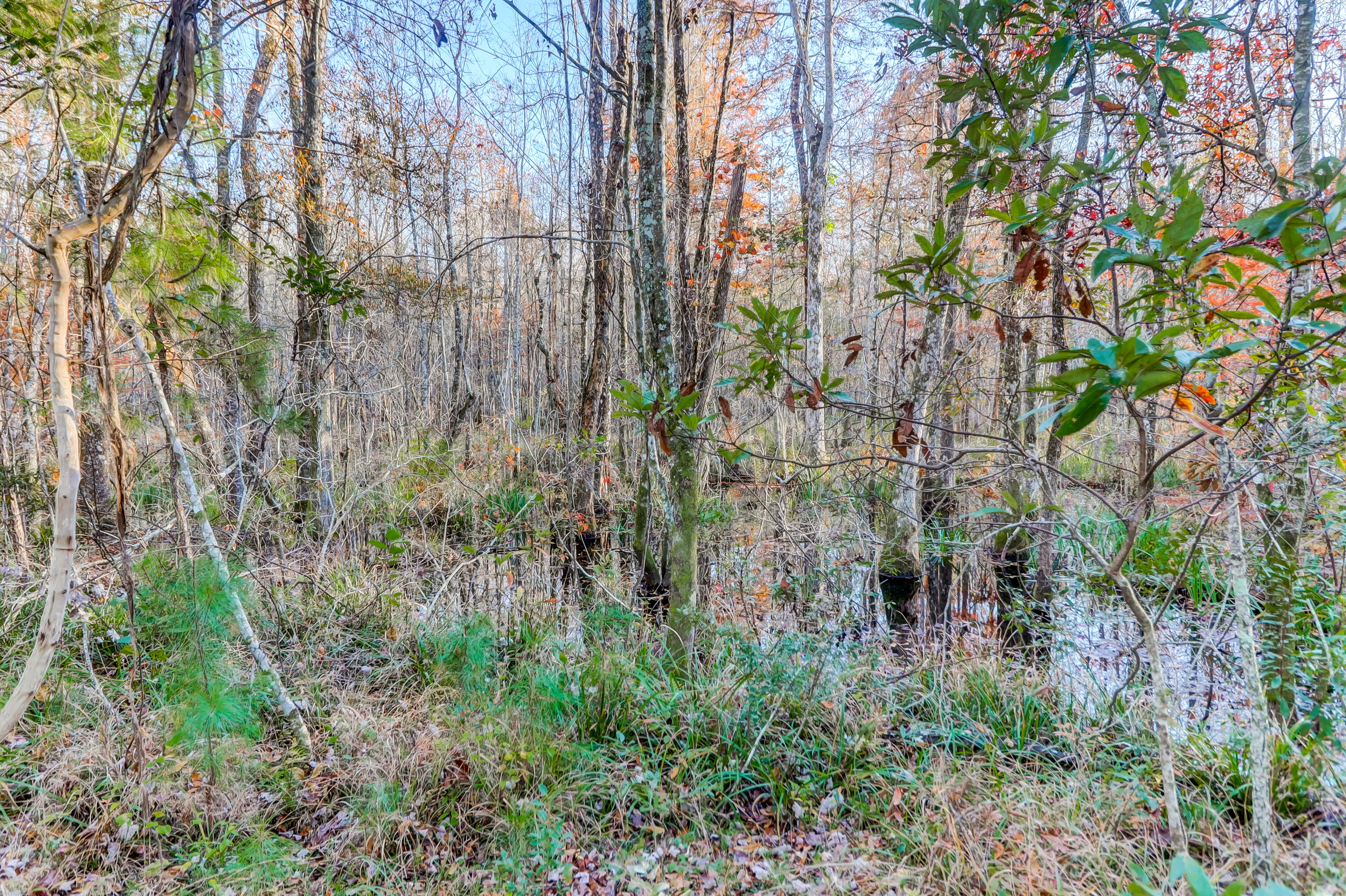 419 Bowstring Drive Huger, SC 29450 - Photo 35 of 47 Wooded View
