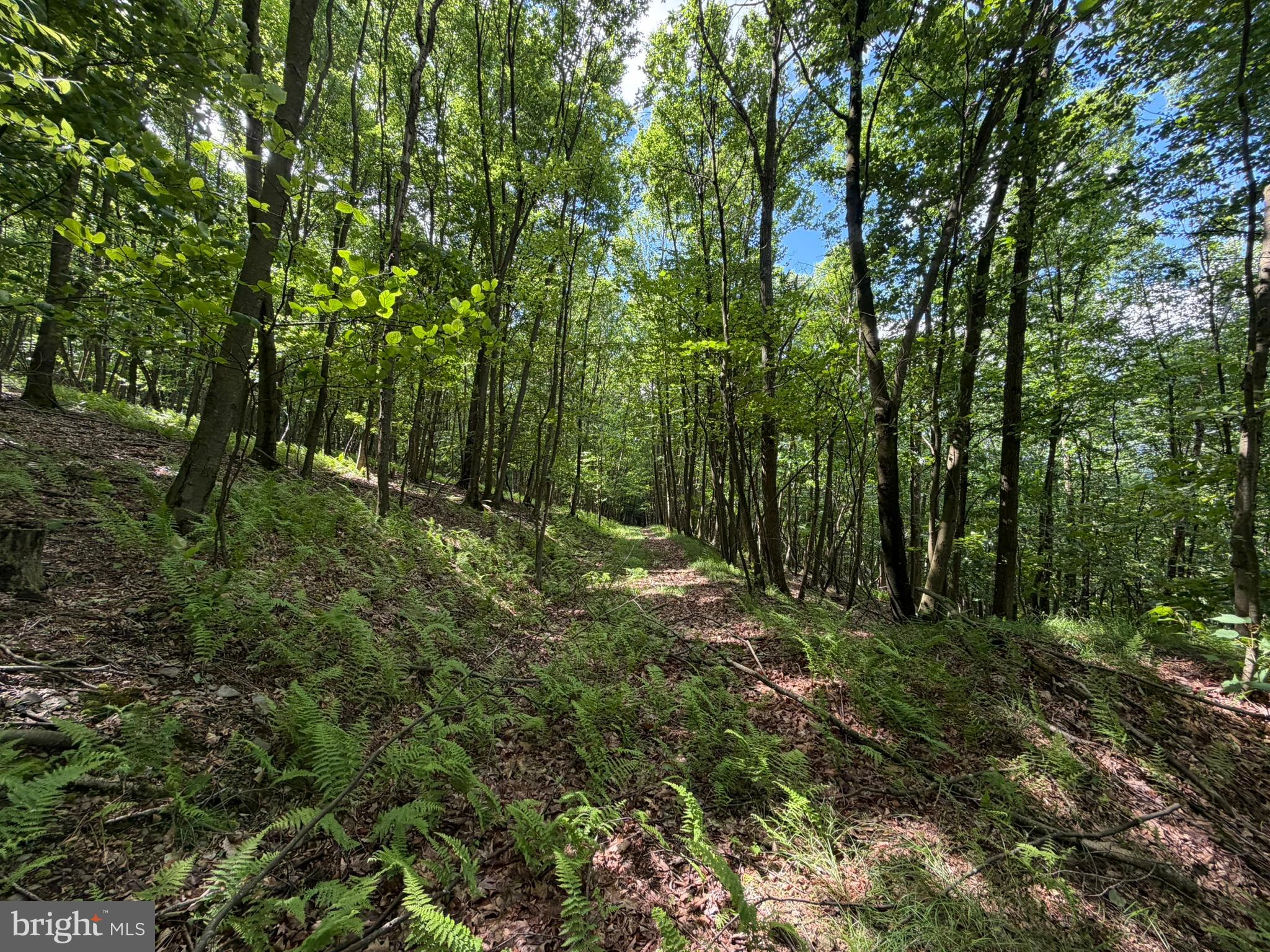 848 Sugar Camp Road Clearfield, PA 16830 - Photo 117 of 118
