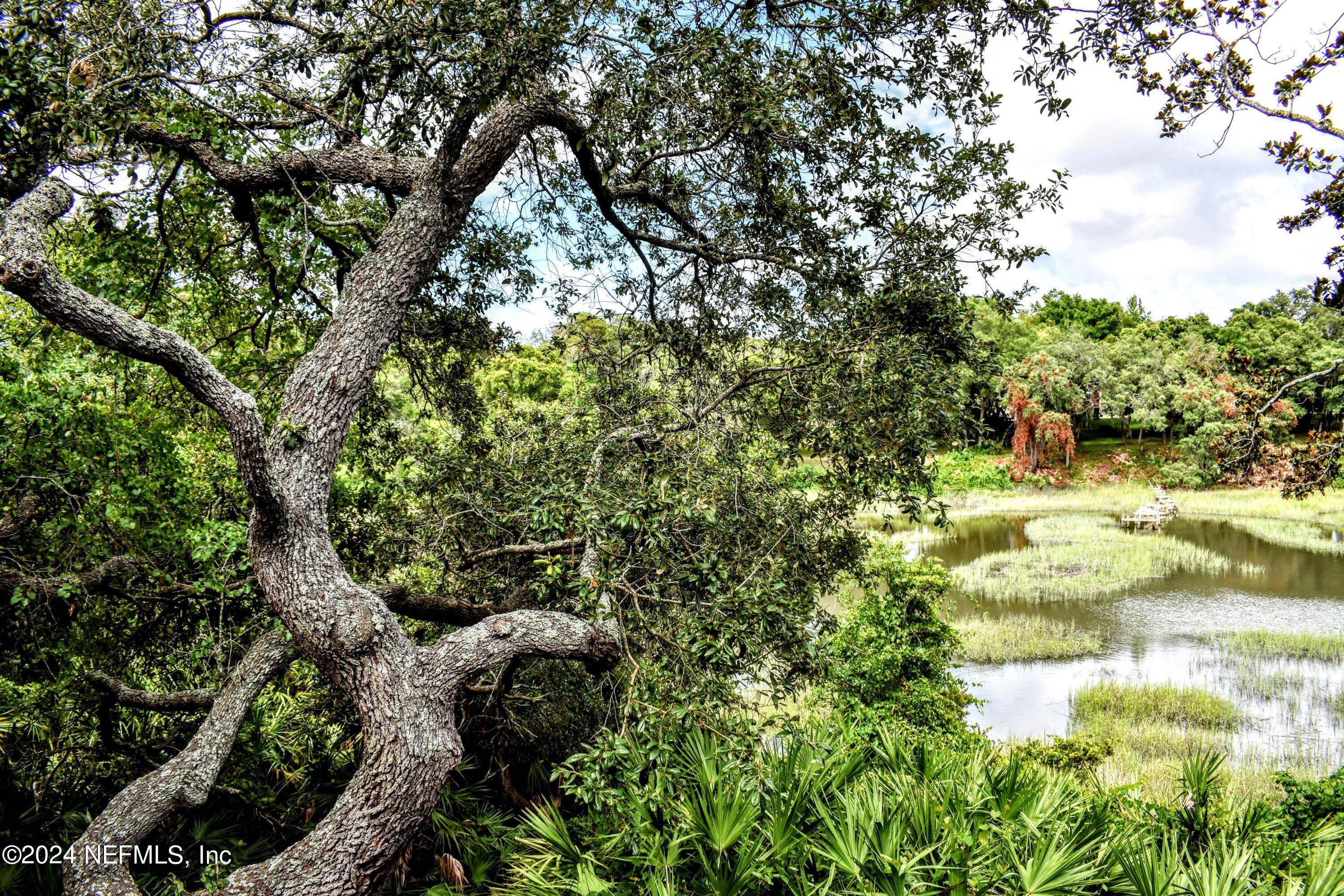 3500 Putnam Road St. Augustine, FL 32086 - Photo 36 of 48 DSC_0122-EDIT