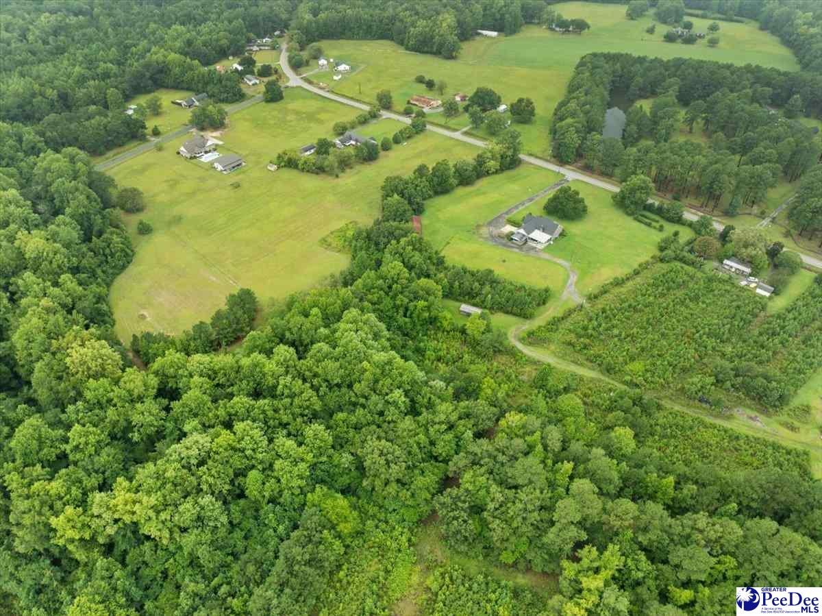 4044 Willow Creek Road Florence, SC 29505 - Photo 52 of 54 Gallery Image 52