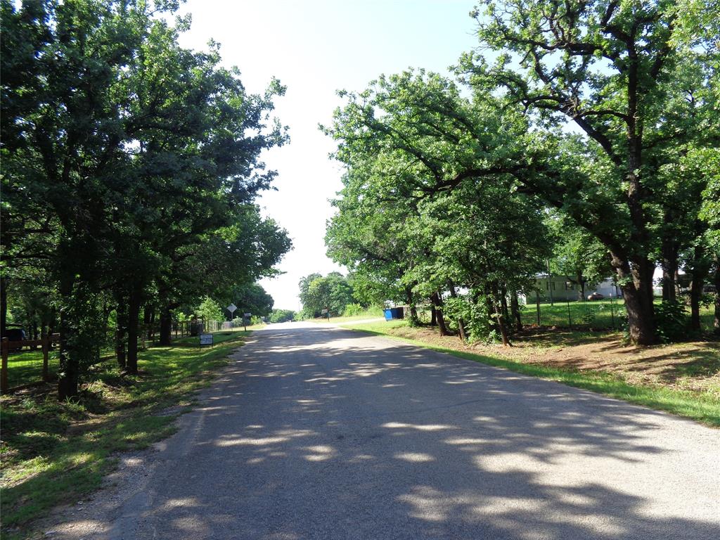 5525 Cedar Oaks Road Grandview, TX 76050 - Photo 12 of 18 Paved road framed by mature trees, providing natural shade and a verdant setting